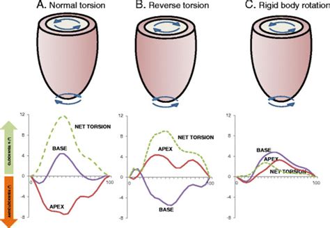 torsion vs rotation